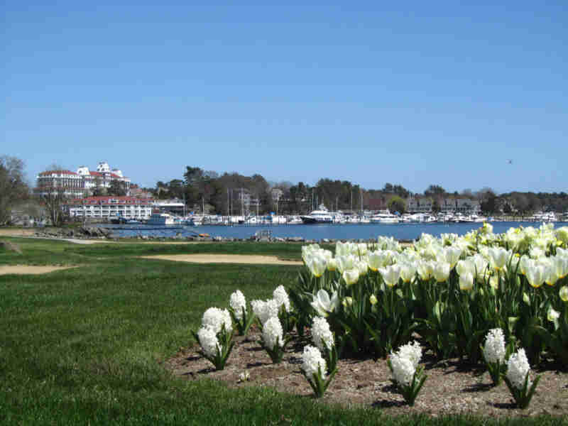 wentworth by the sea hotel and tulips in bloom.